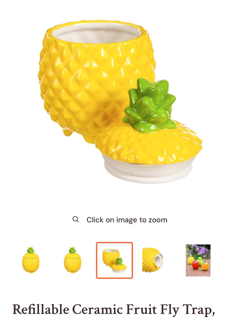 CERAMIC Refillable Fly Trap Pineapple Jar -Adorable Design with Rubber Seal Top